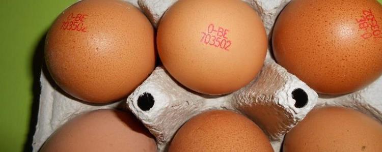 Stempelcode Op Eieren