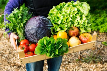 Met een groenteabonnement krijg je wekelijks of tweewekelijks een pakket met groenten en/of fruit dat je oppikt op de boerderij of in een van de vele afhaalpunten.