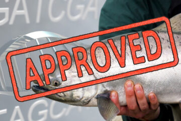 Ge Fish Approved 27298