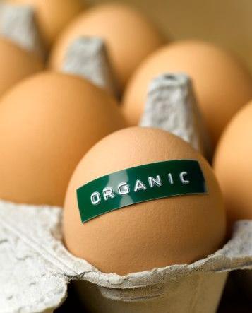 Organic Eggs11
