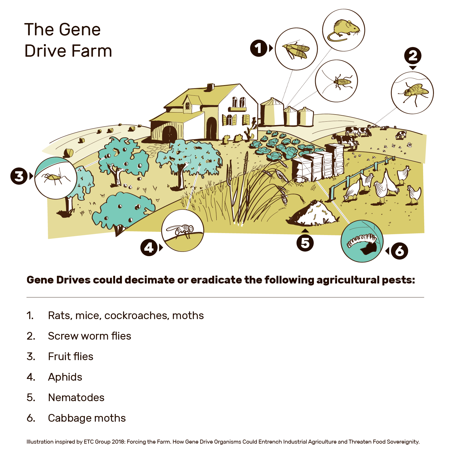 Gene Drives In Agriculture Annotated Eng